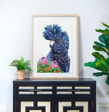 Load image into Gallery viewer, Black Cockatoo and Protea Print
