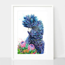 Load image into Gallery viewer, Black Cockatoo and Protea Print
