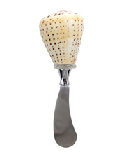 Load image into Gallery viewer, Sea shell spreader
