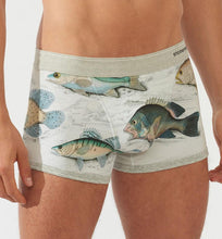 Load image into Gallery viewer, Stonemen Underwear
